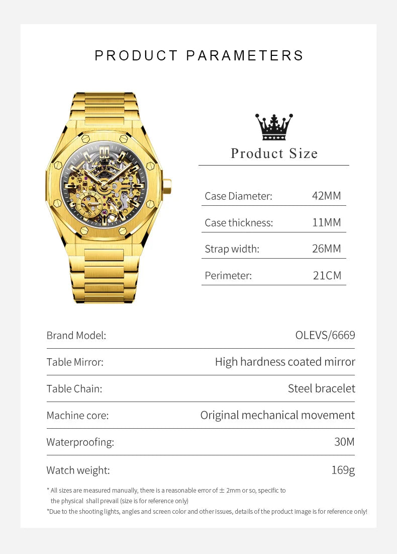 OLEVS 6669 Luxury Mechanical Watch